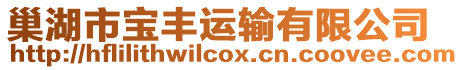 巢湖市寶豐運輸有限公司