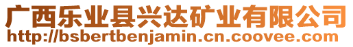 廣西樂(lè)業(yè)縣興達(dá)礦業(yè)有限公司