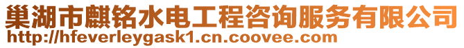 巢湖市麒铭水电工程咨询服务有限公司