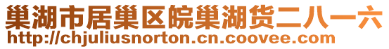 巢湖市居巢區(qū)皖巢湖貨二八一六