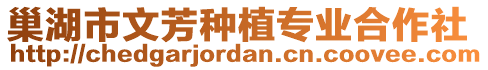 巢湖市文芳種植專業(yè)合作社