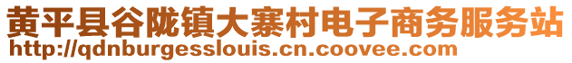 黃平縣谷隴鎮(zhèn)大寨村電子商務(wù)服務(wù)站