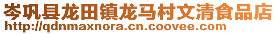 岑鞏縣龍田鎮龍馬村文清食品店
