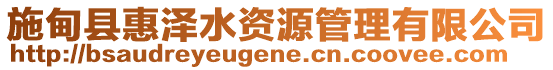 施甸縣惠澤水資源管理有限公司