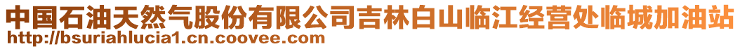 中國石油天然氣股份有限公司吉林白山臨江經(jīng)營處臨城加油站