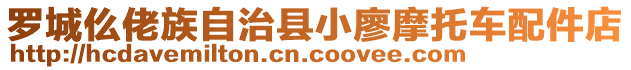 羅城仫佬族自治縣小廖摩托車配件店