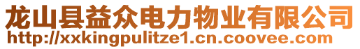 龍山縣益眾電力物業(yè)有限公司