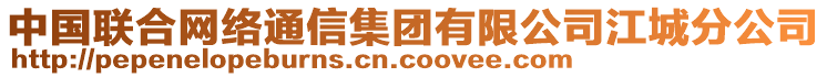 中國聯(lián)合網(wǎng)絡(luò)通信集團有限公司江城分公司