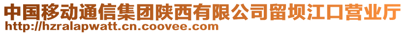 中国移动通信集团陕西有限公司留坝江口营业厅