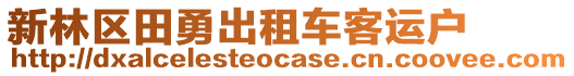 新林區(qū)田勇出租車客運戶