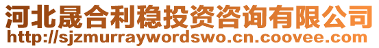 河北晟合利穩(wěn)投資咨詢有限公司
