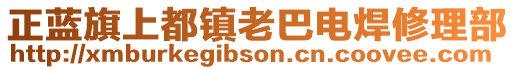 正藍(lán)旗上都鎮(zhèn)老巴電焊修理部