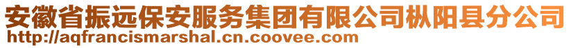安徽省振遠(yuǎn)保安服務(wù)集團(tuán)有限公司樅陽(yáng)縣分公司
