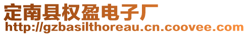 定南縣權(quán)盈電子廠