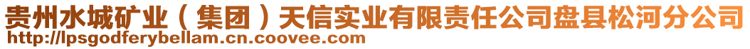 貴州水城礦業（集團）天信實業有限責任公司盤縣松河分公司