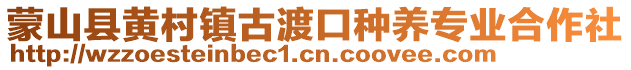 蒙山縣黃村鎮(zhèn)古渡口種養(yǎng)專業(yè)合作社