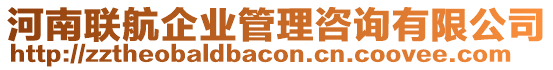 河南聯(lián)航企業(yè)管理咨詢有限公司