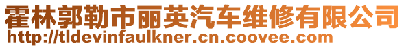 霍林郭勒市麗英汽車維修有限公司