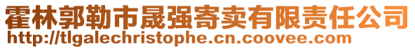 霍林郭勒市晟強寄賣有限責任公司