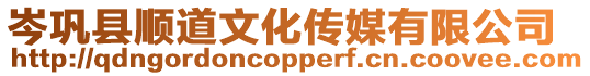 岑鞏縣順道文化傳媒有限公司