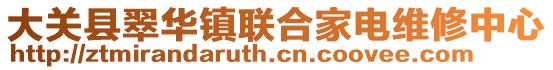 大關(guān)縣翠華鎮(zhèn)聯(lián)合家電維修中心