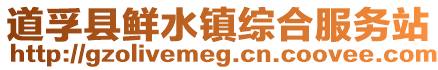 道孚縣鮮水鎮綜合服務站
