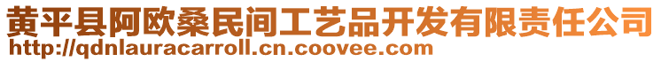 黃平縣阿歐桑民間工藝品開發(fā)有限責(zé)任公司