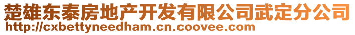 楚雄東泰房地產(chǎn)開(kāi)發(fā)有限公司武定分公司