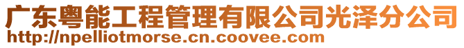 廣東粵能工程管理有限公司光澤分公司