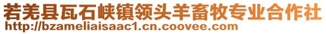 若羌縣瓦石峽鎮(zhèn)領(lǐng)頭羊畜牧專(zhuān)業(yè)合作社