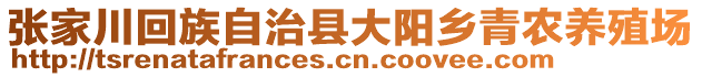 張家川回族自治縣大陽鄉(xiāng)青農(nóng)養(yǎng)殖場