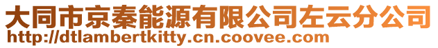 大同市京秦能源有限公司左云分公司