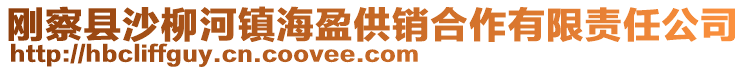 剛察縣沙柳河鎮(zhèn)海盈供銷合作有限責任公司