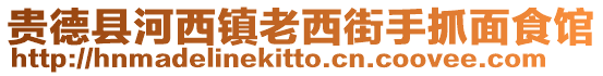 貴德縣河西鎮老西街手抓面食館