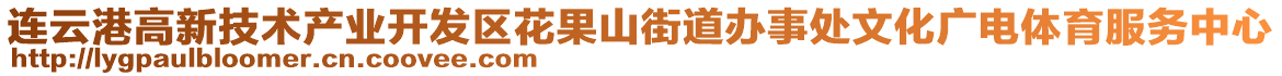 連云港高新技術(shù)產(chǎn)業(yè)開發(fā)區(qū)花果山街道辦事處文化廣電體育服務(wù)中心