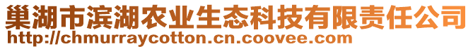 巢湖市濱湖農(nóng)業(yè)生態(tài)科技有限責(zé)任公司