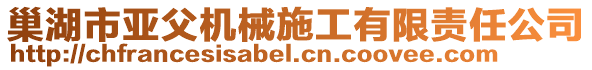 巢湖市亞父機(jī)械施工有限責(zé)任公司