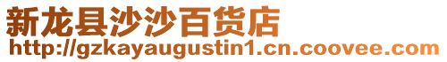 新龍縣沙沙百貨店