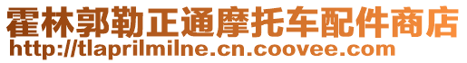 霍林郭勒正通摩托車配件商店