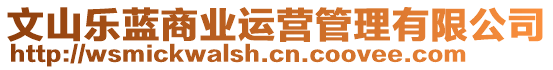 文山樂(lè)藍(lán)商業(yè)運(yùn)營(yíng)管理有限公司