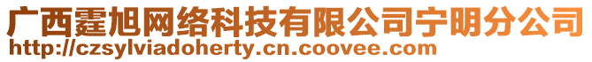 廣西霆旭網(wǎng)絡(luò)科技有限公司寧明分公司