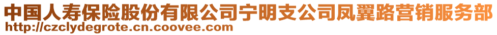 中國(guó)人壽保險(xiǎn)股份有限公司寧明支公司鳳翼路營(yíng)銷服務(wù)部