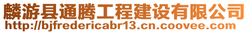 麟游縣通騰工程建設有限公司