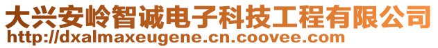 大兴安岭智诚电子科技工程有限公司