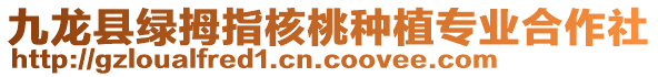 九龍縣綠拇指核桃種植專業(yè)合作社