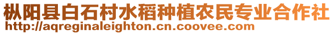 樅陽縣白石村水稻種植農(nóng)民專業(yè)合作社