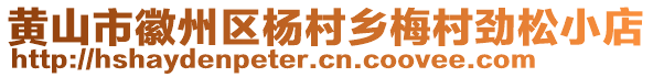 黃山市徽州區楊村鄉梅村勁松小店
