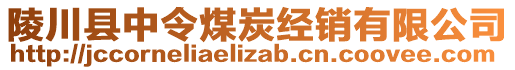 陵川县中令煤炭经销有限公司