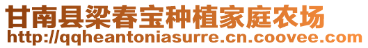 甘南县梁春宝种植家庭农场