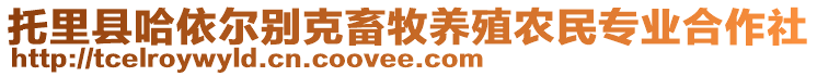 托里縣哈依爾別克畜牧養(yǎng)殖農(nóng)民專業(yè)合作社